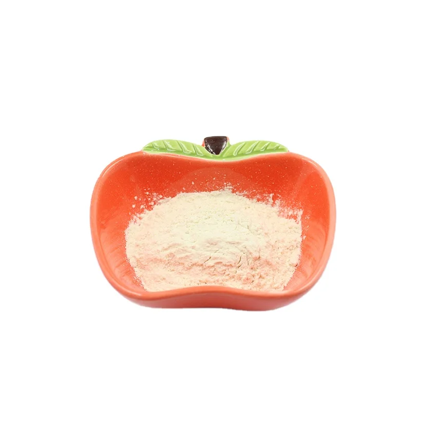 High Quality Freeze-dried Probiotics Powder Lactobacillus fermentum