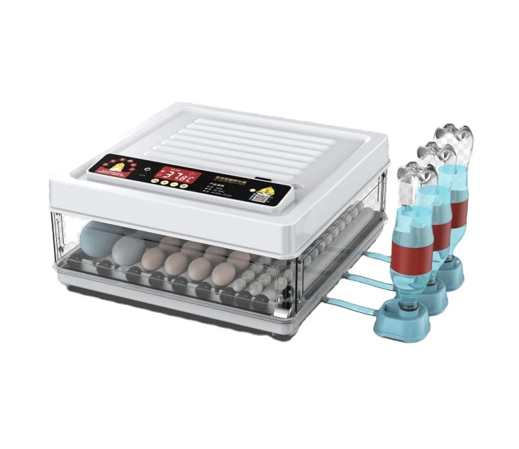 Dual power supply 12V egg incubator for battery power 48 eggs