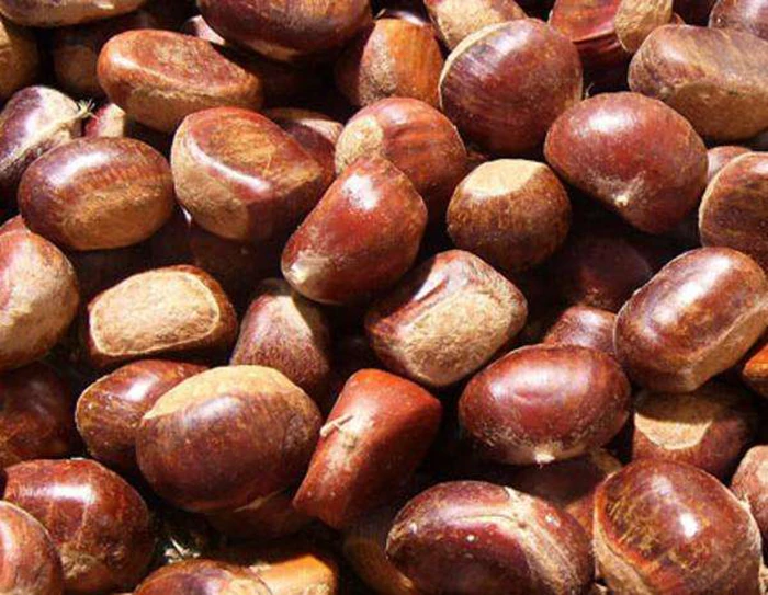 fresh chestnuts-9