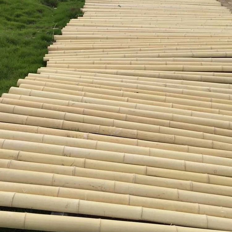 High Quality Natural Bamboo Cane 500cm Best Selling Wholesale Raw Bamboo Materials Chinese Manufacturer