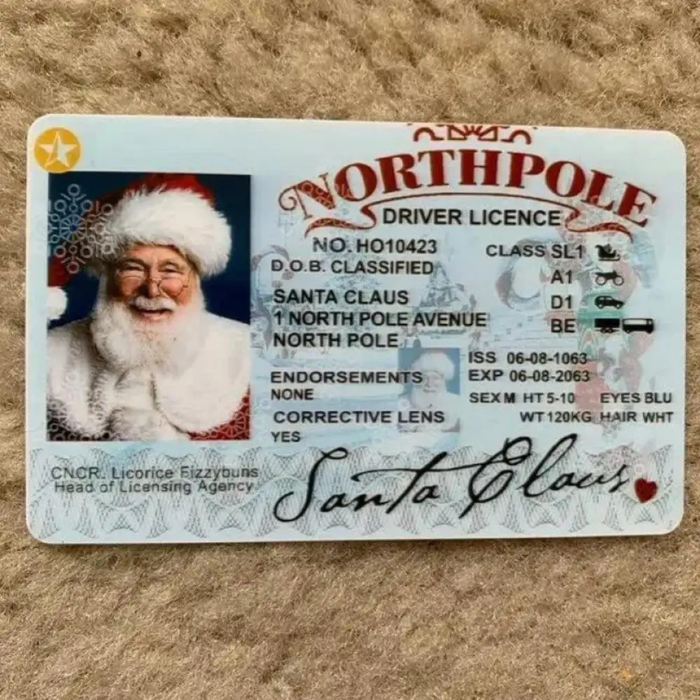 Christmas gift for kids Santa Claus sleigh license sleigh driving license