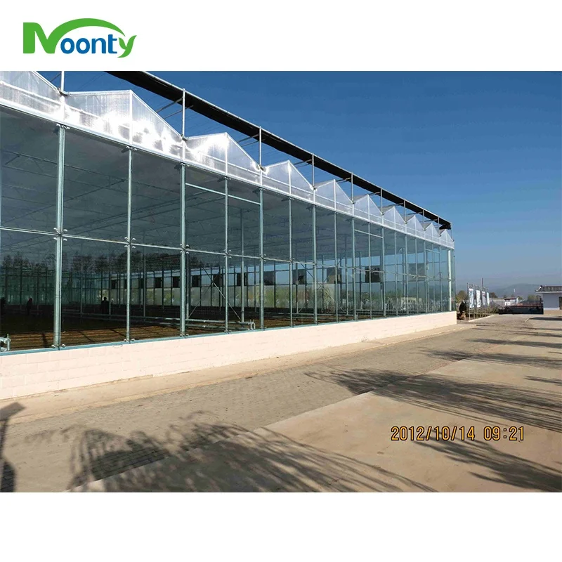 Complete Glass Agricultural Commercial Greenhouse Turnkey Project with Quick Construction