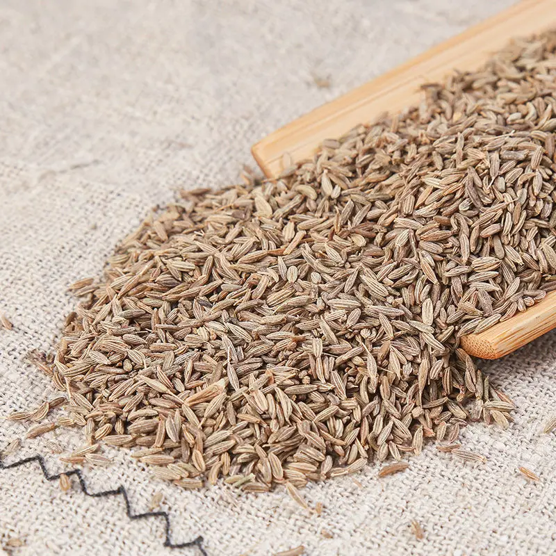 Семена китайской сухой специи ZZH, экспорт семян кумина из Индии по низкой цене, зеленые семена кумина