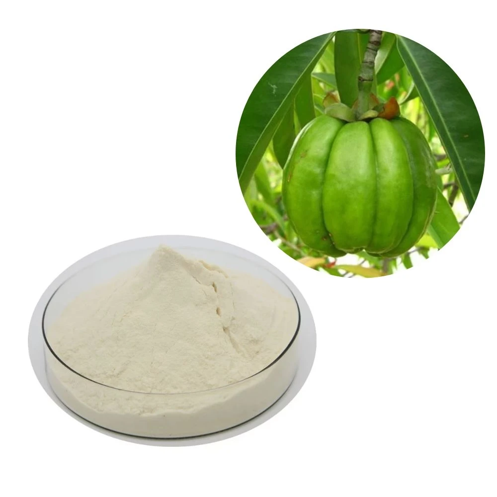 Quality Garcinia Cambogia Extract HCA powder Garcinia Cambogia Extract powder 60% HCA Power