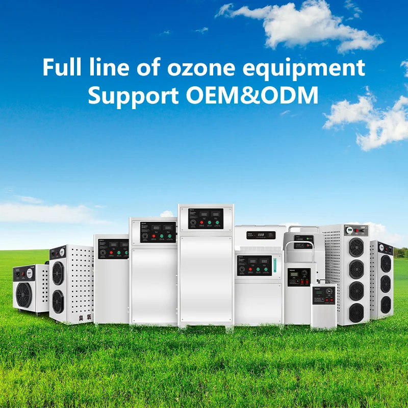 Ozone generator for drinking water treatment system 50g air purifier for indoor automotive ozone disinfection machine