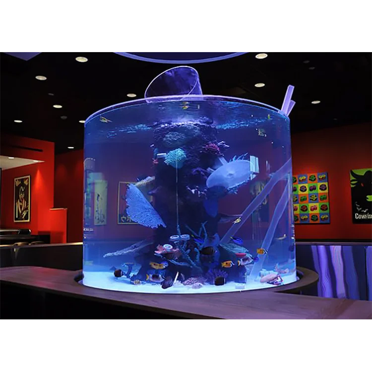 What is Big Size Thick Modern Style Clear Aquariums, Acrylic Aquarium Fish