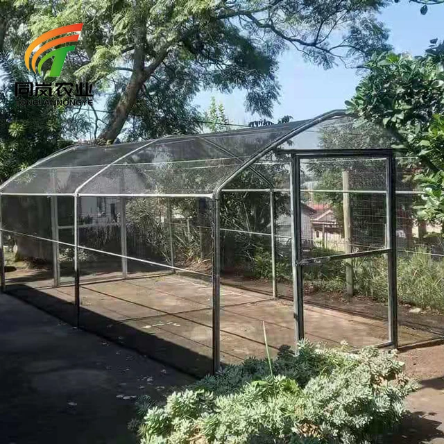 Glass Greenhouse Nft Fodder System Agriculture Farms Plant Grow Polytunnel China Solar Greenhouse