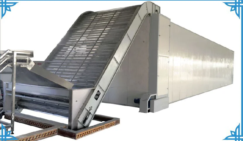 Vegetable Continuous Conveyor Mesh Belt Dryer