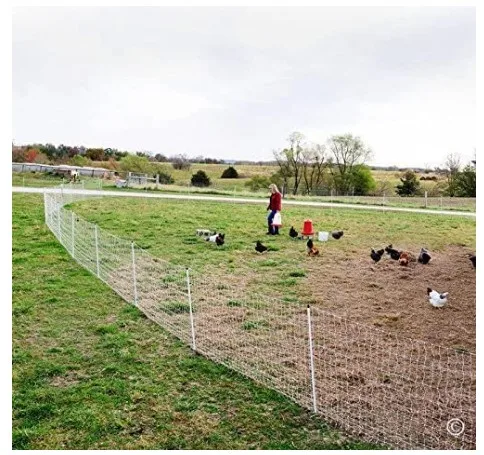 electric fence for sheep/chicken/horse  electric fence netting with posts poultry net