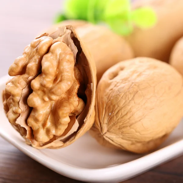 Best Selling Walnuts In Dubai Thin-Skinny Walnut Shell Price Xinjiang 33 Type walnuts in-shell chandler Buyers