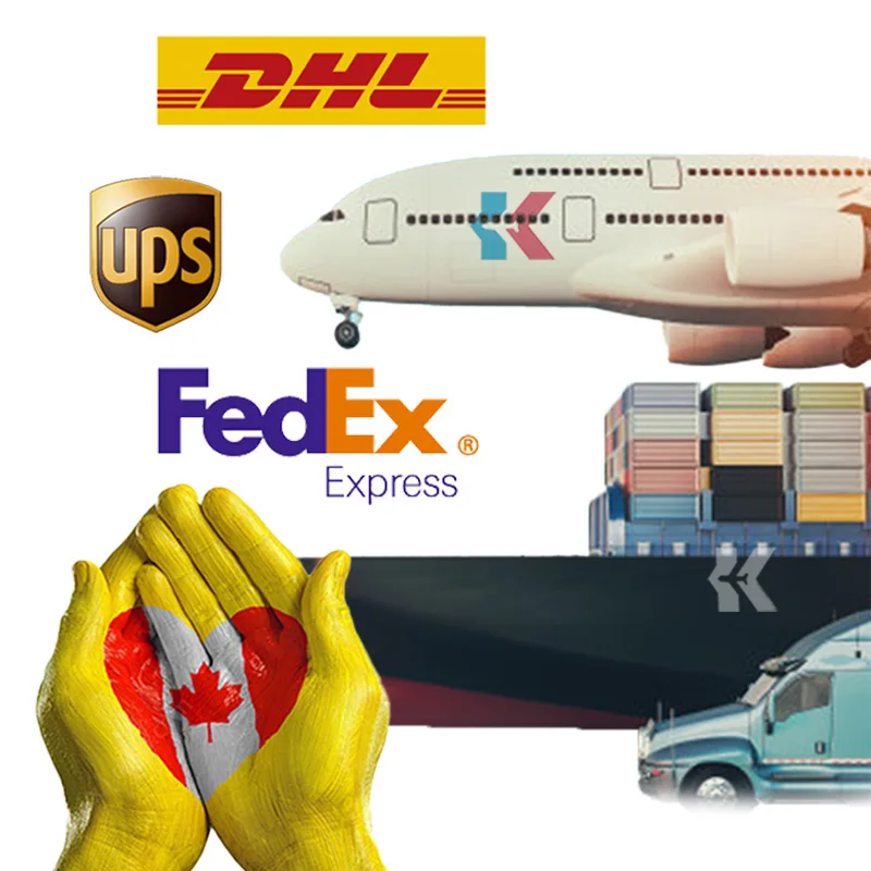 Профессиональная служба доставки от двери до доставка в США Канада DHL UPS DDP логистические услуги
