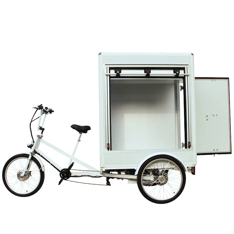 China Manufacturer Three Wheel Cargo Trike High Quality Electric Cargo Bike for Sale