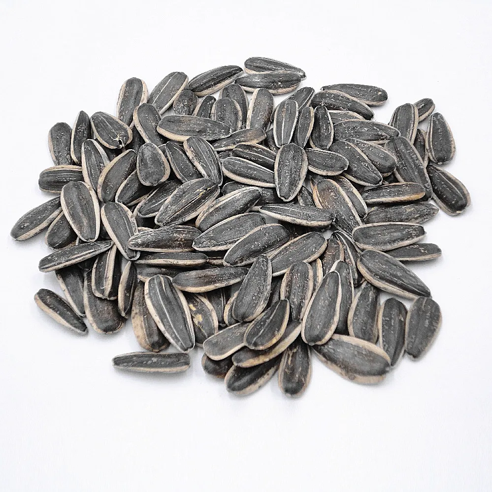 Jumbo roasted sunflower seeds