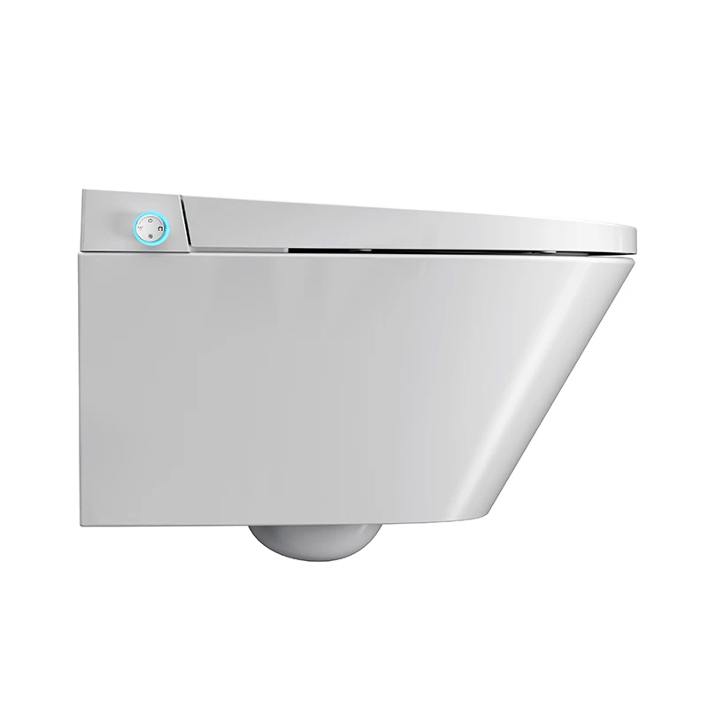 TEJJER Modern women gravity glushing intelligent smart bidet toilet