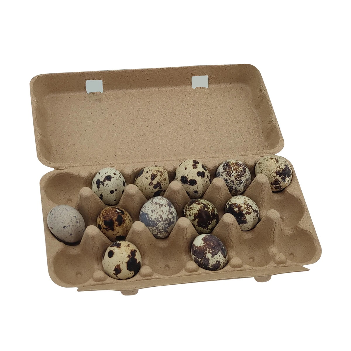 Wholesale Colored Paper Pulp Quail Egg Cartons Egg Tray - 6/10/12/18 Cells