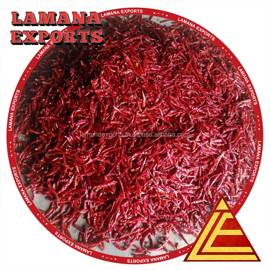 Chilli S17 Teja Stemless India Chilli Premium Quality for Thailand Guntur Hot Dried Red Chili Pepper Single Herbs & Spices Raw