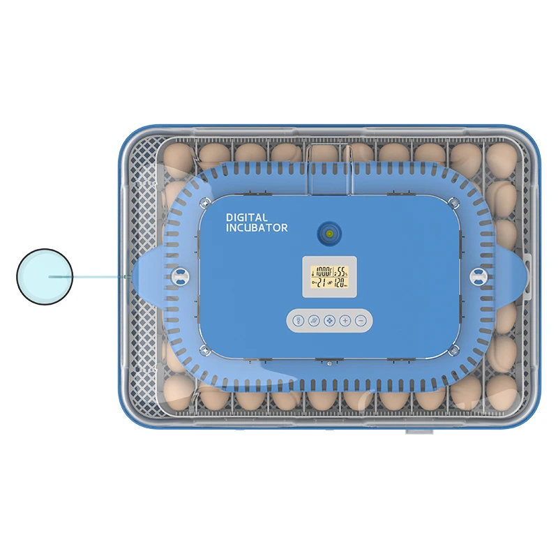 CE Certificated WONEGG 2024 Design 70 Eggs Incubator Dual Power Supply Automatically Stop Turning Eggs During Hatching PEriod