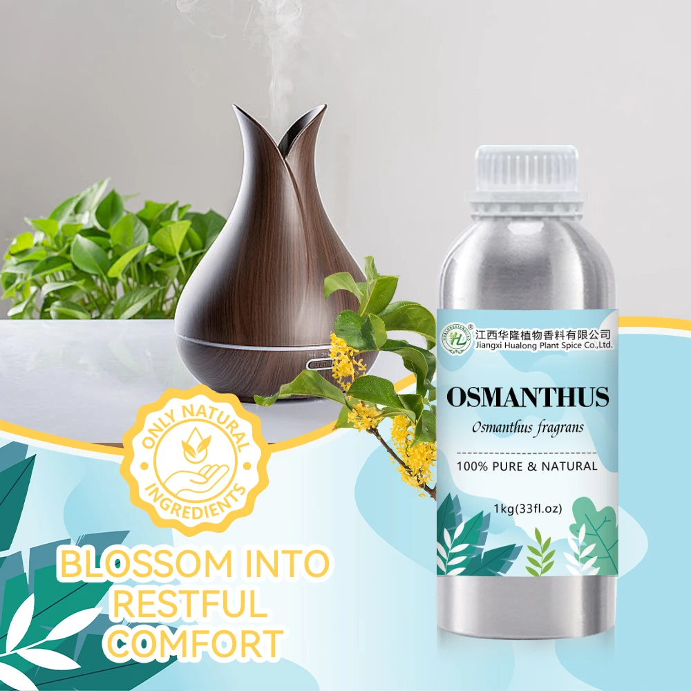 Sweet Osmanthus Essential Oil Organic - 100% Pure Natural Fragrans Flower Extract Therapeutic Grade | Bulk Price 1kg