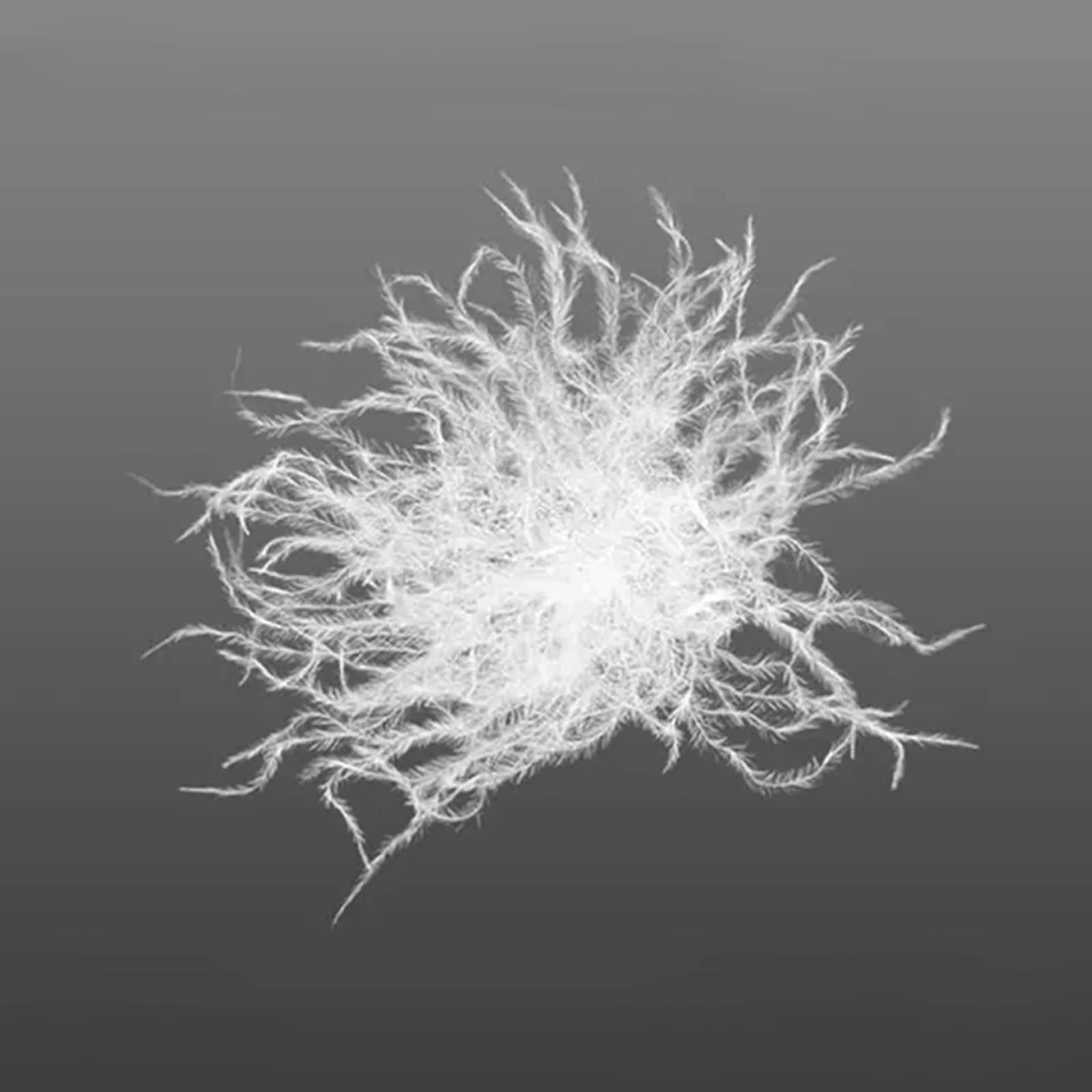 China Manufacture Customized Size Suitable Twin Comforter Goose Down Duvet Duvet Comforter