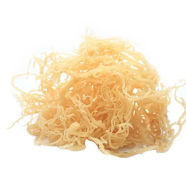 {HOT - SALE} - EUCHEUMA COTTONII SEAWEED/ DRIED SPINOSUM SEAWEED/ EXPORTING HIGH QUALITY VIETNAM GOODS BEST PRICE