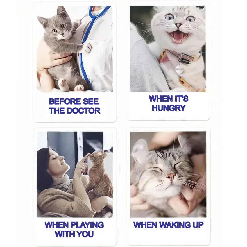 Fresh salmon organic cat treats dog treats natural premium cat&dog  food factory supply Pet Food OEM wholesale