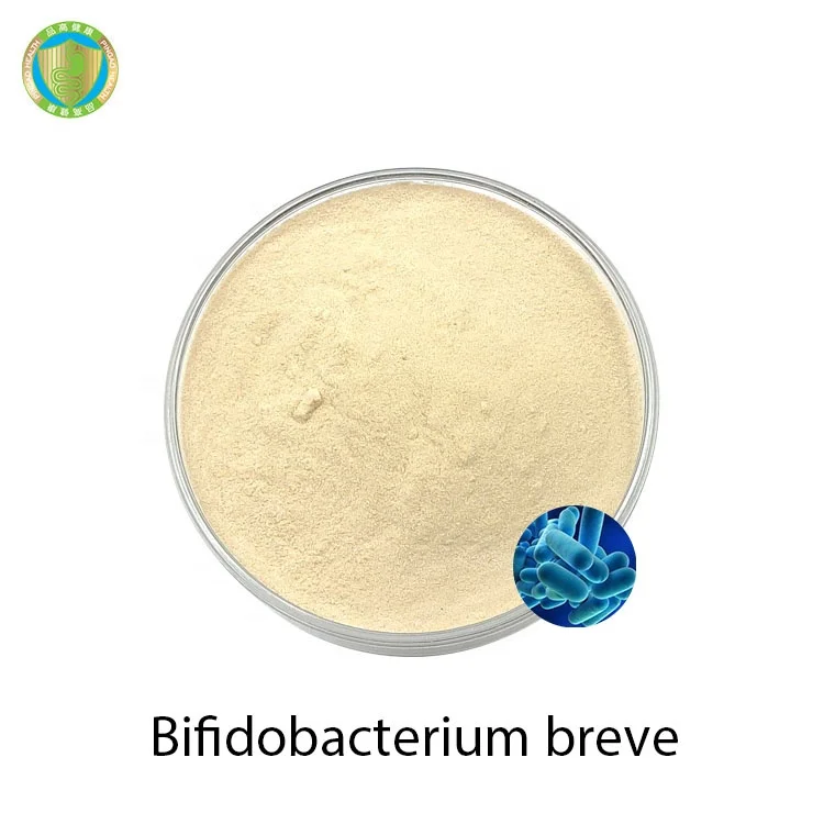 High Quality Enhance Human Immunity Factory Supply Bifidobacterium Breve Probiotics Powder