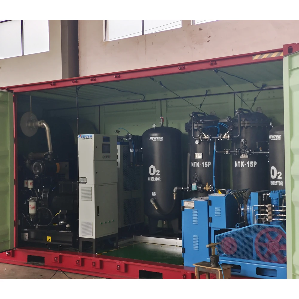 NEWTEK 10Nm3/hr 99% Container type oxygen generator industrial oxygen generator