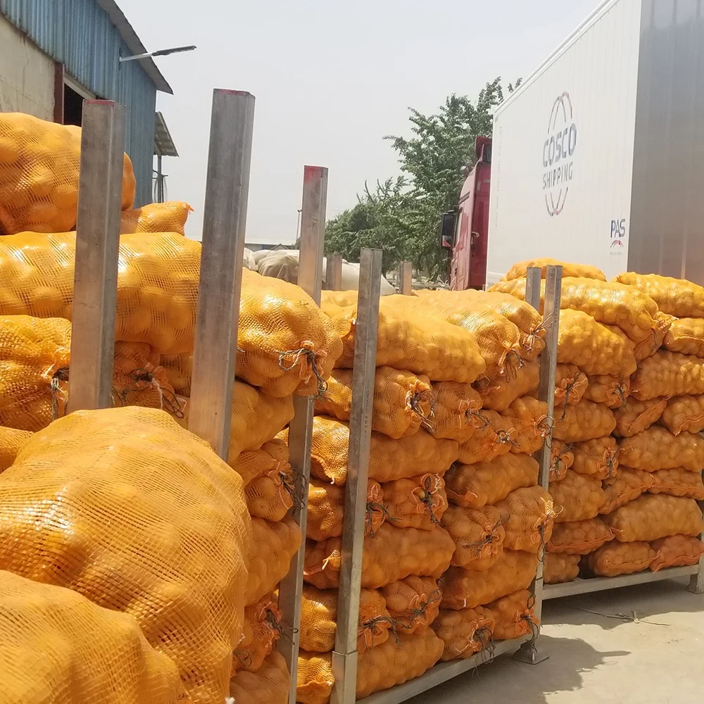 Wholesale Best Price Supplier of Fresh Vegetables Potatoes with Fast Delivery