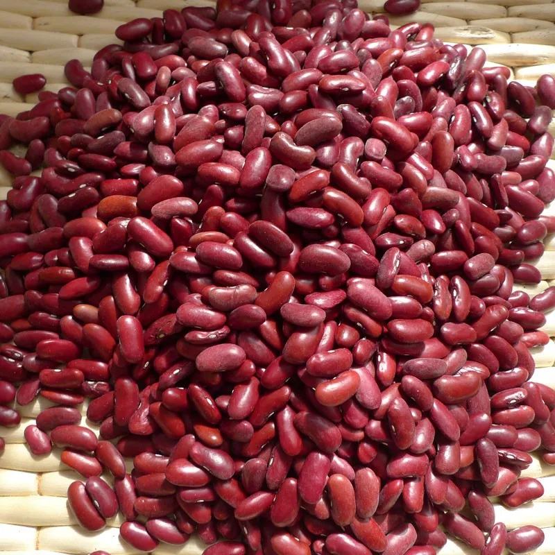 
The top quality of new crop2017 Dark Red Kidney Beans/Selected by H.P.S Size:190-210pcs/100g 