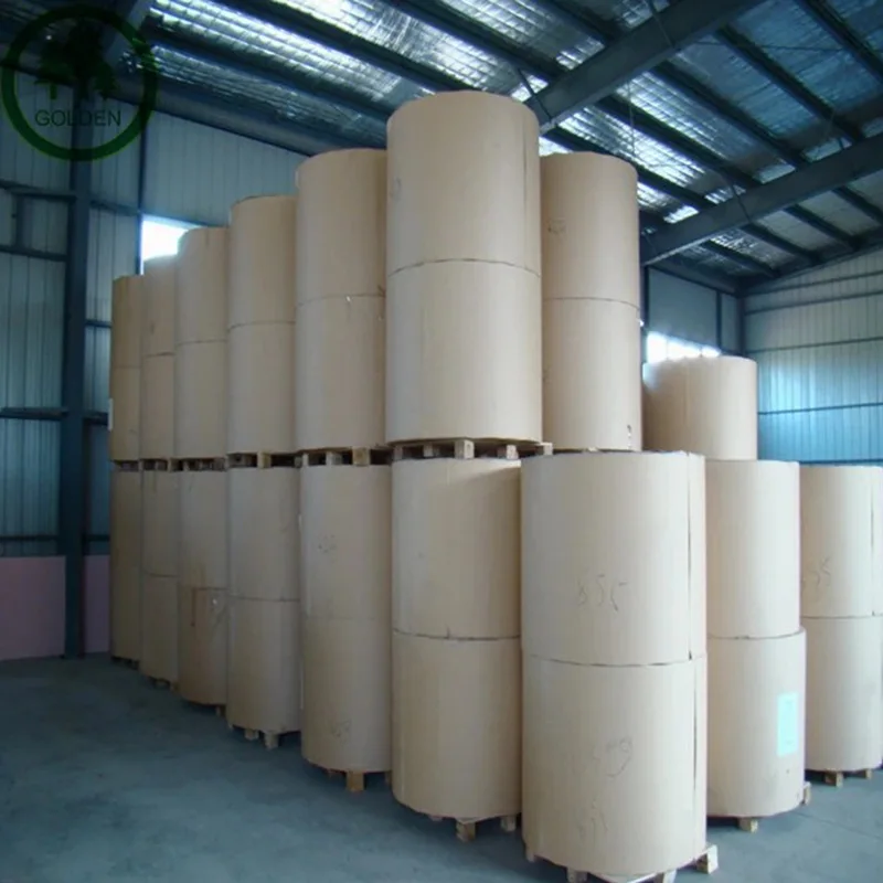 Food Grade High Bulk Single PE Coated Paper Cup Bottom Roll for Making Paper Cups
