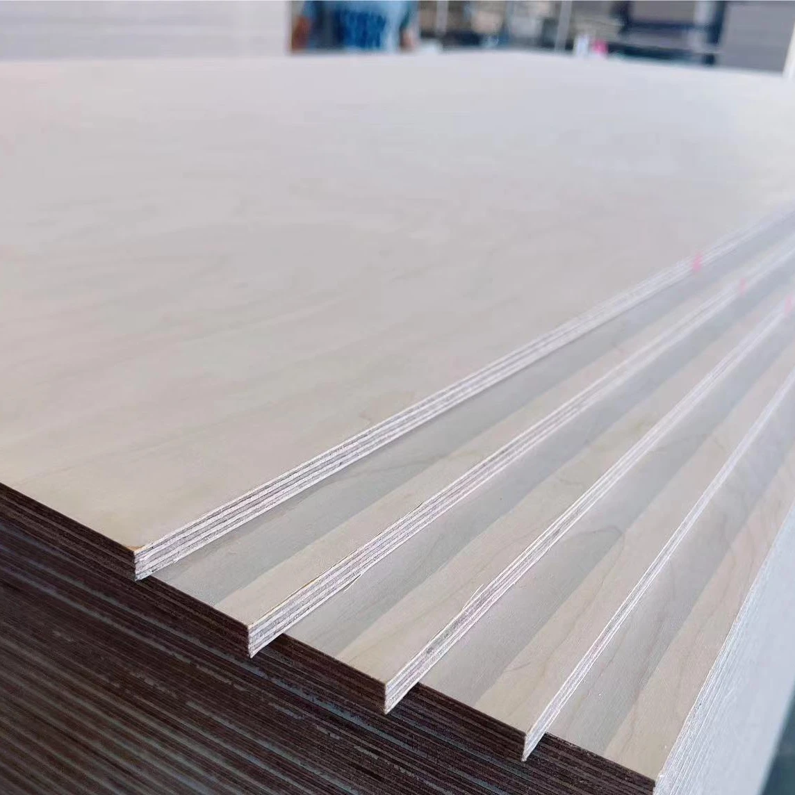 Best Price 1220*2440mm Birch Okoume Sapele Bintangor Pine Veneer Commercial Plywood