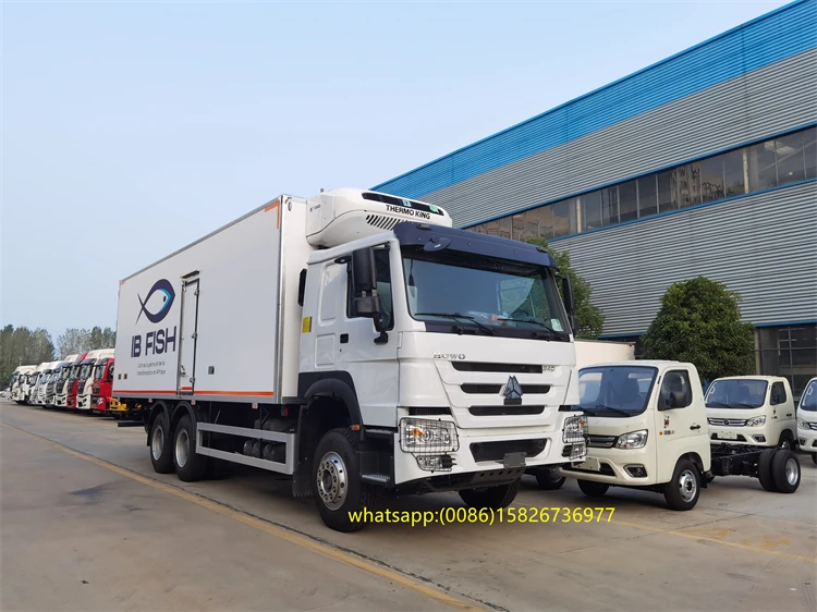 Howo 20 тонн 25 рефрижератор гидравлическая пластина 30 sinotruk howo Thermo king коробка для холодильника грузовика в Rwanda