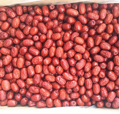 Xinjiang Organic Fresh Dry Red Dates A Grade ziziphus jujuba red