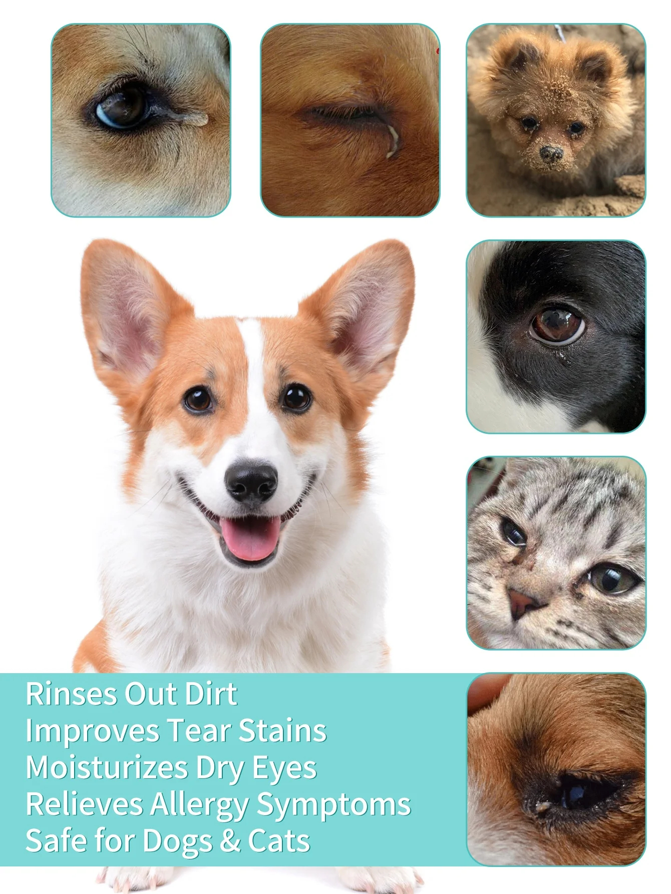 1pc Cat & Dog Eye Wash Drops Moisturizes Dry Eyes For Cats and Dogs