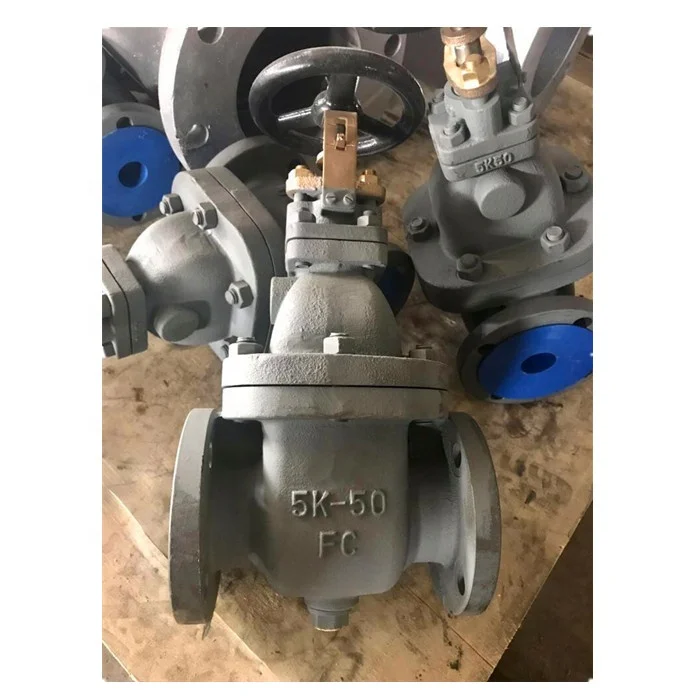 
Gate Valve JIS Marine Valve 5K F7363 Gate Valve Cast Iron 