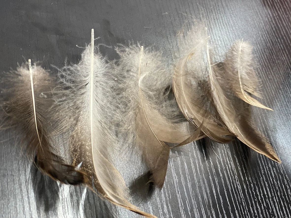 Sale Washed Gray Duck Feather New National Standard 90% 2-4CM Large Gray Duck Feather