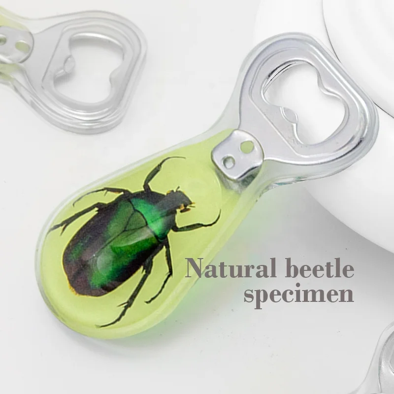New Design Whole Sale in Bulk Glow Dark Natural Dried Beetle Insects Bugs Resin Handle Beer Bottle Opener