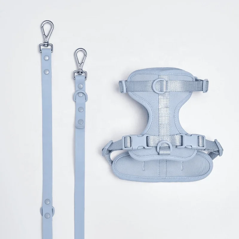 2024 Hot Sale Wholesales Durable Heavy Duty Waterproof Custom PVC Nylon Coated Webbing Pet Dog Collar and Leash harness set