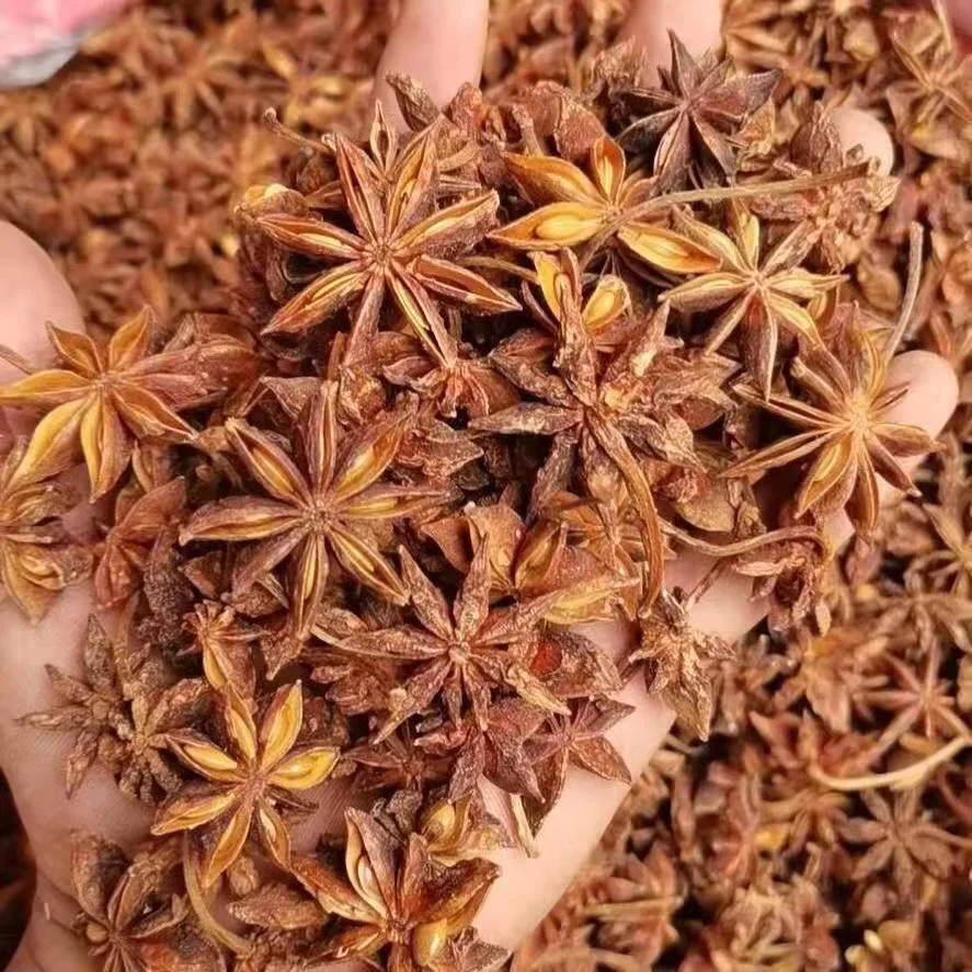 Guangxi manufacturers direct sales of fennel spices Guangxi star anise cinnamon leaves fennel oil cardamom supply