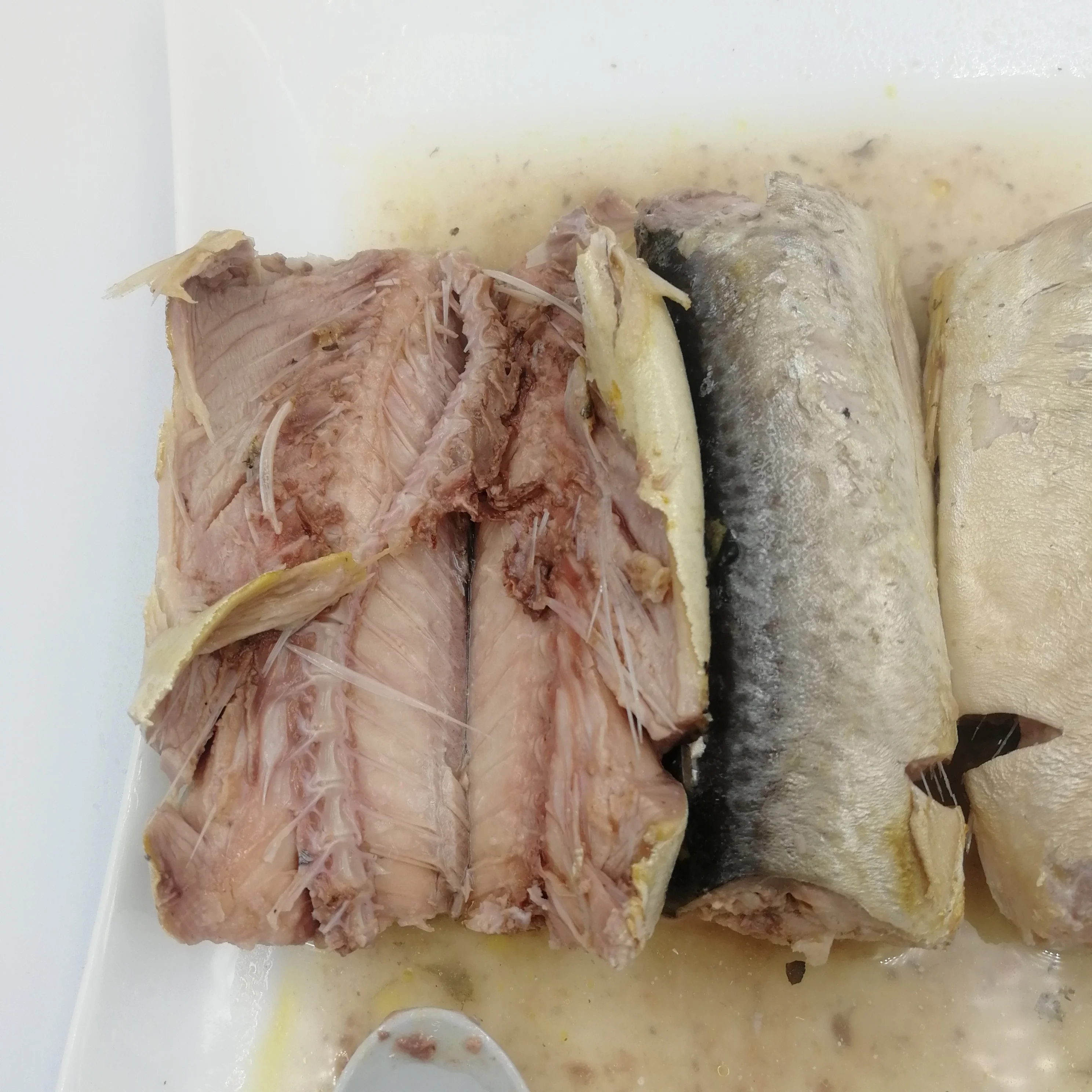 
Canned jack mackerel JUREL Trachurus in Brine 425G 
