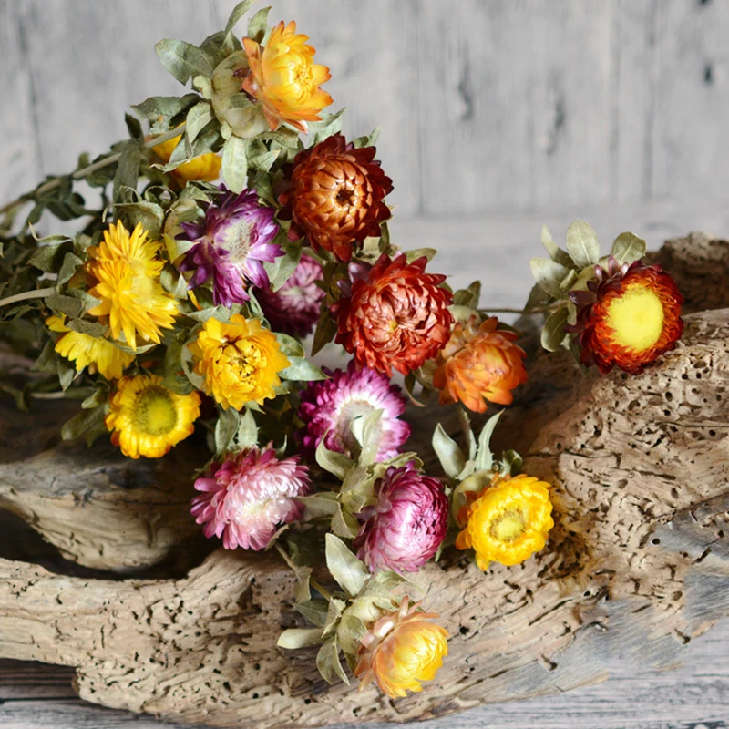 
Dried natural strawflower colorful daisy flower bouquet for home wedding party decoration 