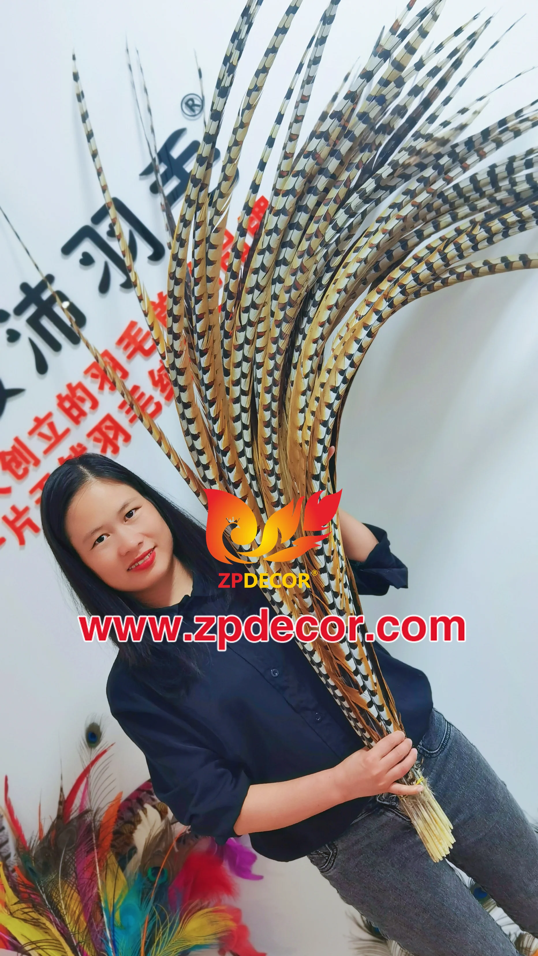 Zpdecor Feathers Wholesale Stock Super Long Natural Reeve Pheasant Tail Feathers for Carnival Costumes