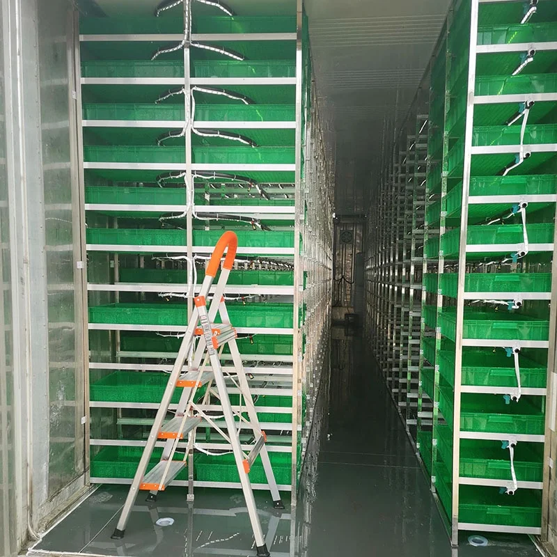 100kg Per Day Automatic Barley Fodder Sprouting Machine | Hydroponic Seed Germination Systems