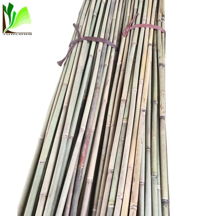 Cheap Natural Tonkin Bamboo Cane Stake