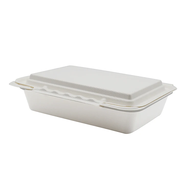 The Best Sugarcane Takeaway Lunch Boxes Fast Food Container Biodegradable Packaging Bagasse Food Container