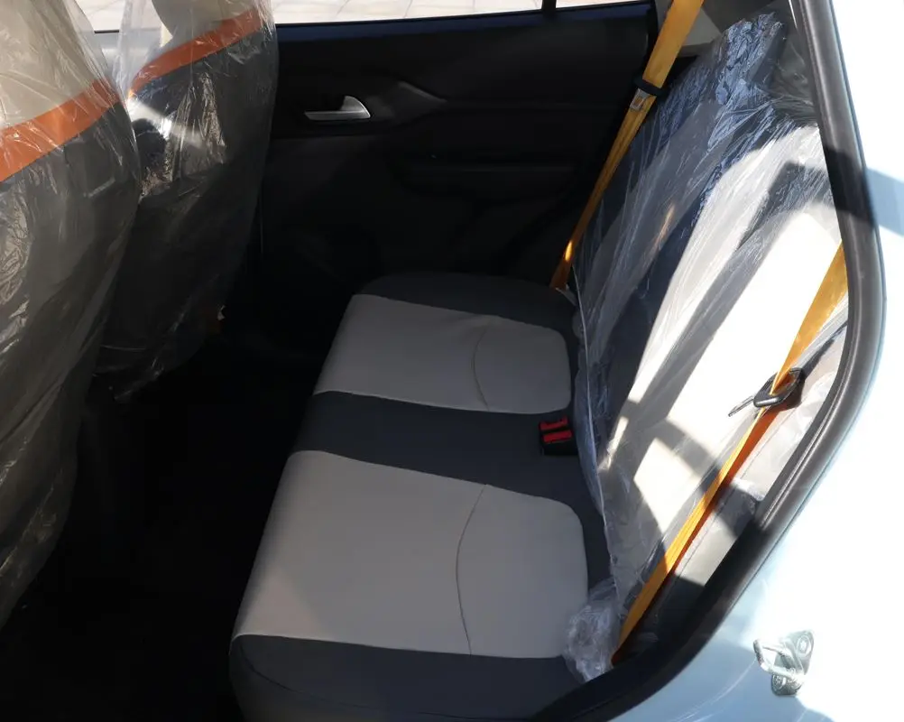 Raysince High Speed Electric Car for Adults