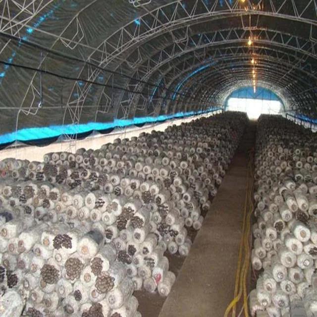 Высокое качество пластиковый туннель теплицы грибы Зеленые дома сельское хозяйство зеленый дом каркас