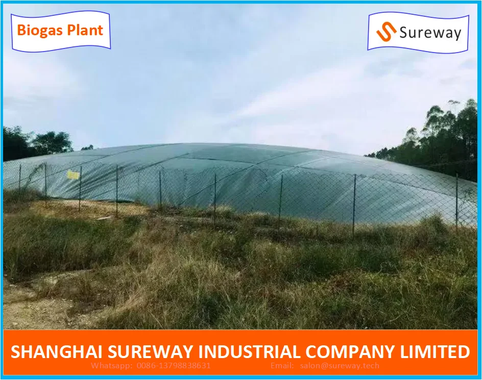 HDPE Geomembrane Lagoon Animal Waste Biogas Digester Plant