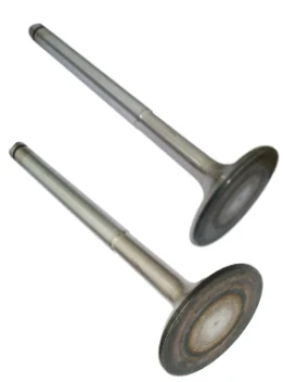 high quality  Engine Valve Intake and Exhaust Valve T13010216 OE 46514754 5942728 7666227 46553047 for Fiat Motor Fire 1.3-8v