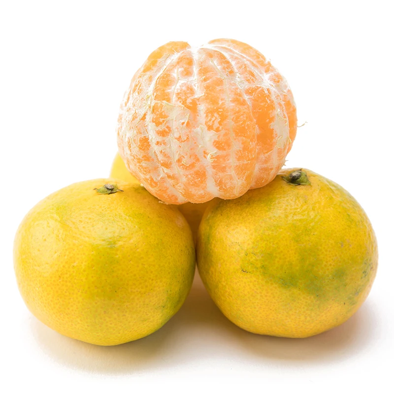 2022  New crop of Fresh citrus fruit Navel Orange Mandarin Orange fruit for wholesale